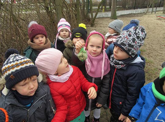 gr II Dbamy o ptaki zimą
