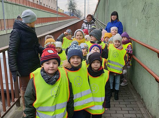 GR IV Przedstawienie "Trzy świnki" w Szkole Podstawowej nr 7