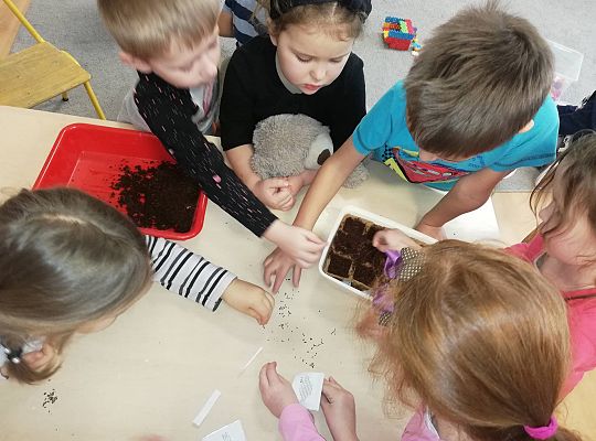 GR III A my już chcemy wiosnę - Sadzimy