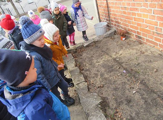 gr II Szukamy wiosny