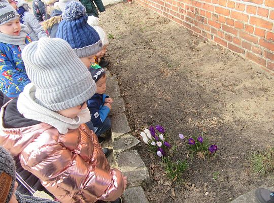 gr II Szukamy wiosny