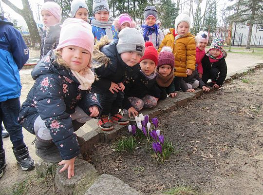 gr II Szukamy wiosny