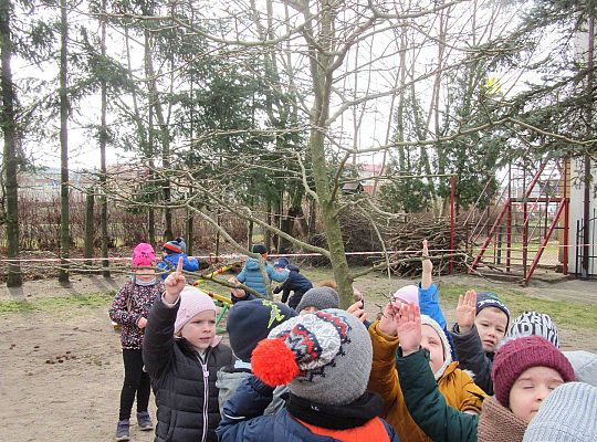 gr II Szukamy wiosny