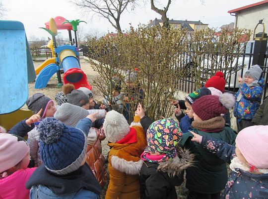 gr II Szukamy wiosny