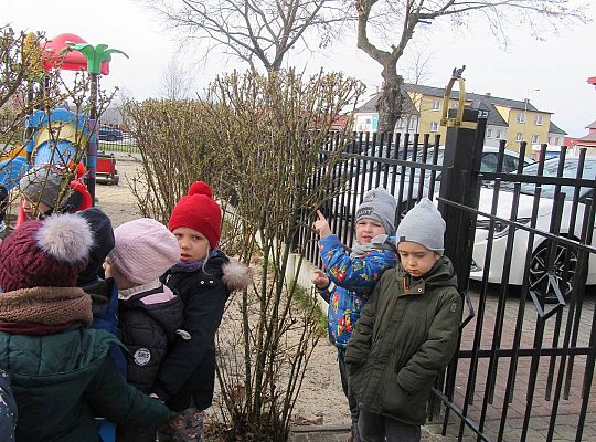 gr II Szukamy wiosny