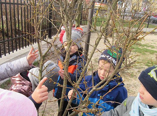 gr II Szukamy wiosny