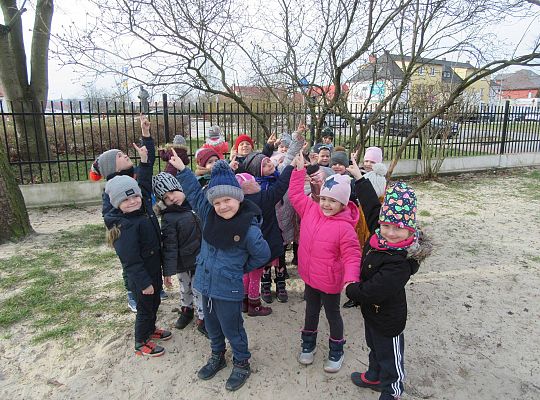 gr II Szukamy wiosny