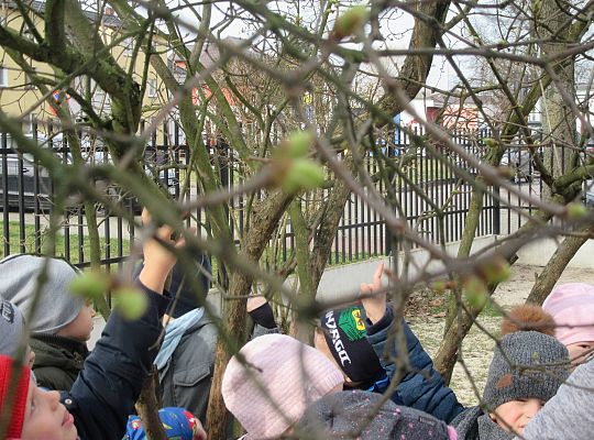 gr II Szukamy wiosny