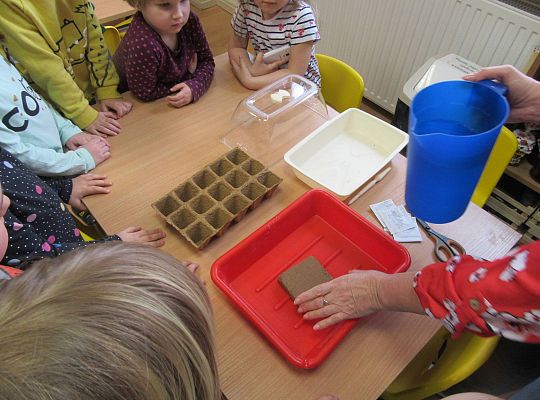 gr I Nasza szklarnia-siejemy