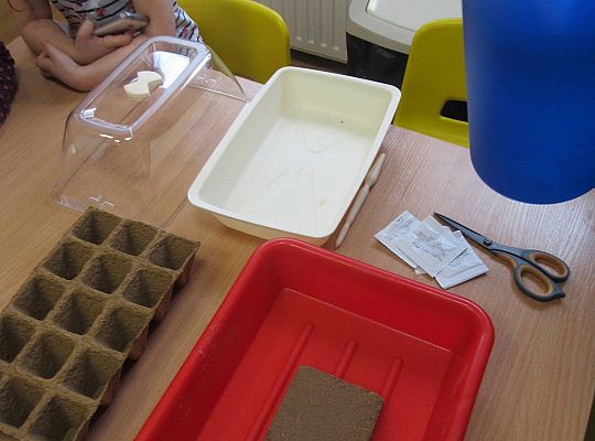 gr I Nasza szklarnia-siejemy