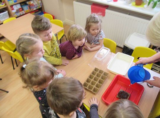 gr I Nasza szklarnia-siejemy