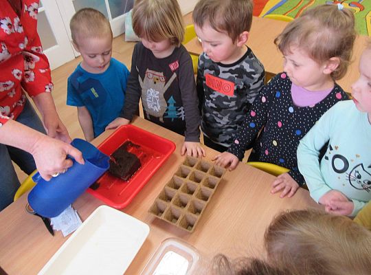 gr I Nasza szklarnia-siejemy