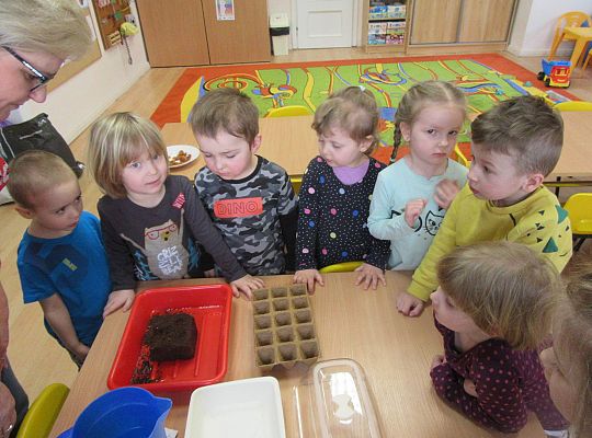 gr I Nasza szklarnia-siejemy