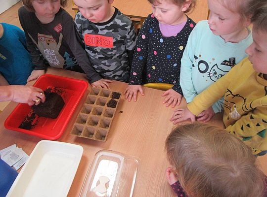 gr I Nasza szklarnia-siejemy