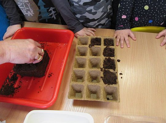 gr I Nasza szklarnia-siejemy