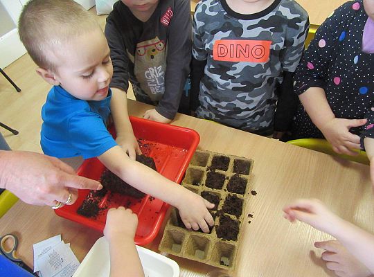 gr I Nasza szklarnia-siejemy