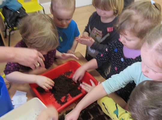 gr I Nasza szklarnia-siejemy