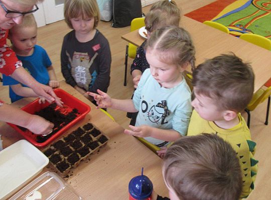 gr I Nasza szklarnia-siejemy