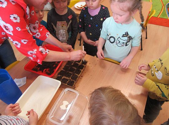 gr I Nasza szklarnia-siejemy