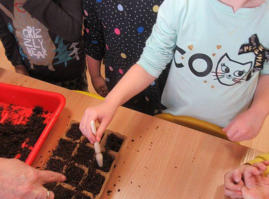 gr I Nasza szklarnia-siejemy