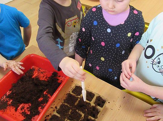 gr I Nasza szklarnia-siejemy