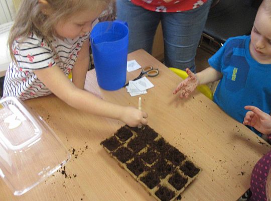 gr I Nasza szklarnia-siejemy