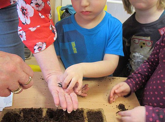 gr I Nasza szklarnia-siejemy