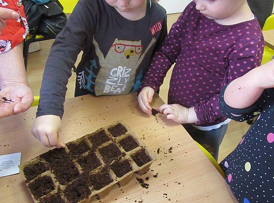 gr I Nasza szklarnia-siejemy