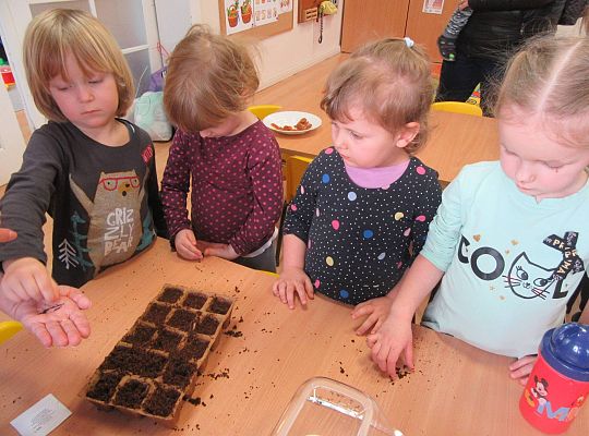 gr I Nasza szklarnia-siejemy