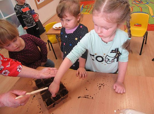 gr I Nasza szklarnia-siejemy