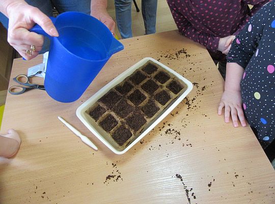 gr I Nasza szklarnia-siejemy