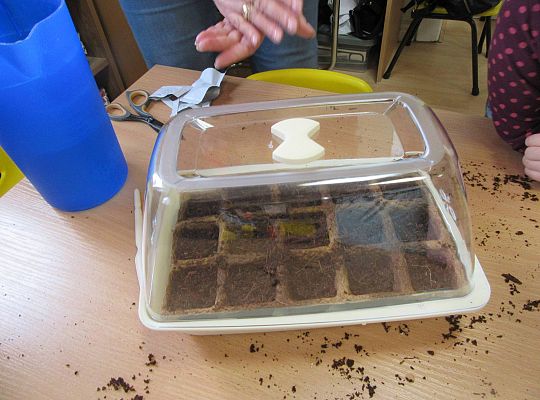 gr I Nasza szklarnia-siejemy