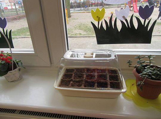 gr I Nasza szklarnia-siejemy