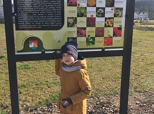 GR III Nauka z rodzicami w domku według podstawy programowej.16.03-20.03 Tydzień-Marcowa pogoda