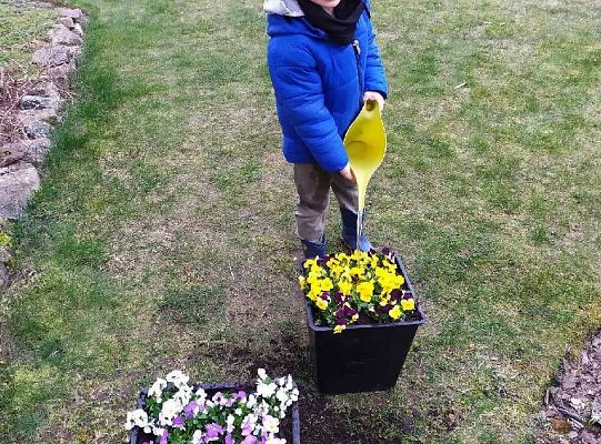 GR III Nauka z rodzicami w domku według podstawy programowej.16.03-20.03 Tydzień-Marcowa pogoda