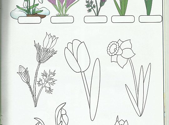 Gr III - tydzień 23.03 - 28.03  temat tygodniowy - "Witamy Wiosnę":