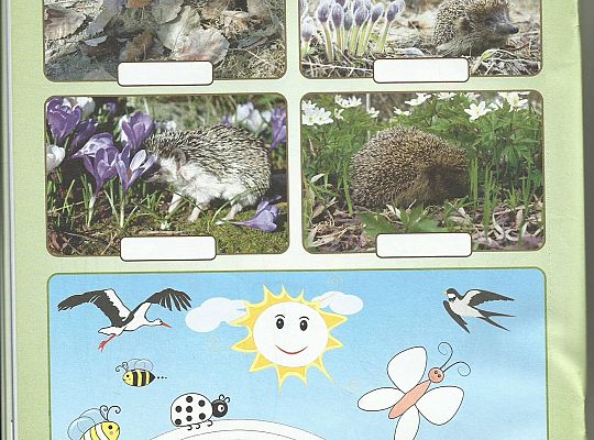 Gr III - tydzień 23.03 - 28.03  temat tygodniowy - "Witamy Wiosnę":