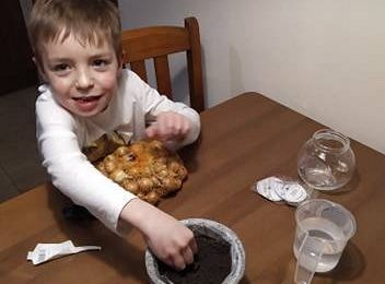 Gr III - tydzień 23.03 - 28.03  temat tygodniowy - "Witamy Wiosnę":