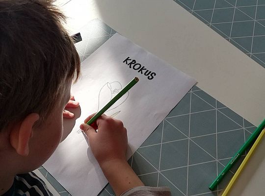 Gr III - tydzień 23.03 - 28.03  temat tygodniowy - "Witamy Wiosnę":