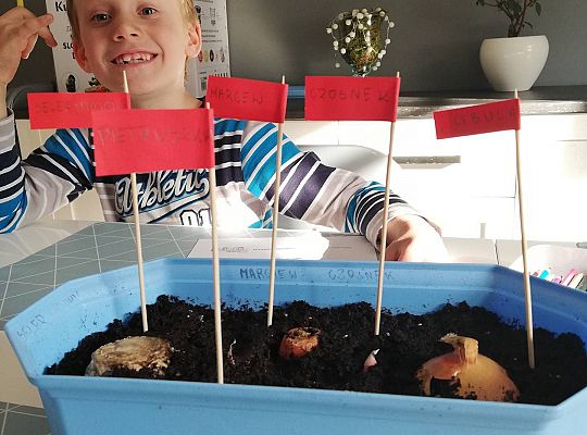 Gr III - tydzień 23.03 - 28.03  temat tygodniowy - "Witamy Wiosnę":