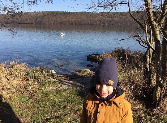 Gr III - tydzień 23.03 - 28.03  temat tygodniowy - "Witamy Wiosnę":