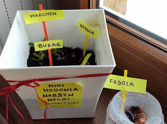 Gr III - tydzień 23.03 - 28.03  temat tygodniowy - "Witamy Wiosnę":