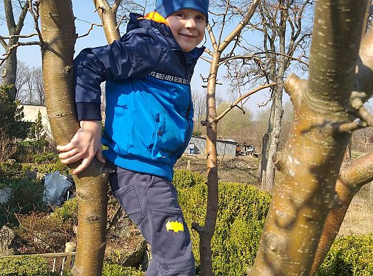 Gr III - tydzień 23.03 - 28.03  temat tygodniowy - "Witamy Wiosnę":