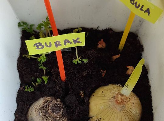 Gr III - tydzień 23.03 - 28.03  temat tygodniowy - "Witamy Wiosnę":