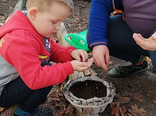 Gr III - tydzień 23.03 - 28.03  temat tygodniowy - "Witamy Wiosnę":