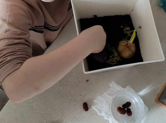 Gr III - tydzień 23.03 - 28.03  temat tygodniowy - "Witamy Wiosnę":