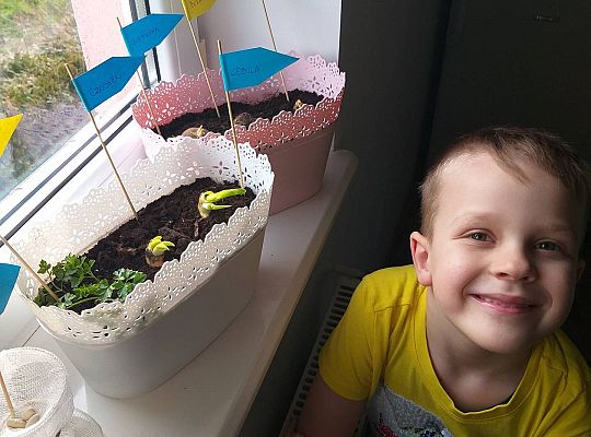 Gr III - tydzień 23.03 - 28.03  temat tygodniowy - "Witamy Wiosnę":