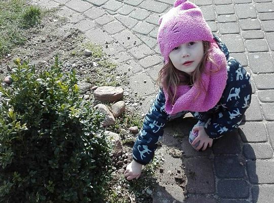 Gr III - tydzień 23.03 - 28.03  temat tygodniowy - "Witamy Wiosnę":