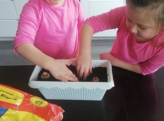 Gr III - tydzień 23.03 - 28.03  temat tygodniowy - "Witamy Wiosnę":