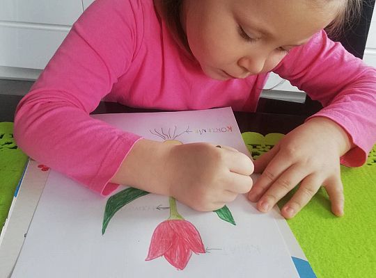 Gr III - tydzień 23.03 - 28.03  temat tygodniowy - "Witamy Wiosnę":